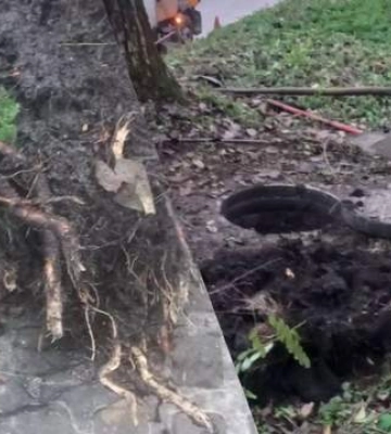 У Тернополі водоканалівці витягли ріпку: рештки овочів спричинили великий затор у каналізації