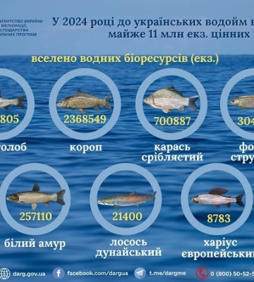 У водойми України у 2024 році випустили понад 10,8 мільйона екземплярів риби