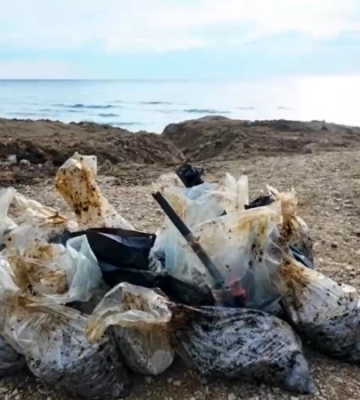 Можно ли спасти курортный сезон в Крыму после катастрофы с мазутом?