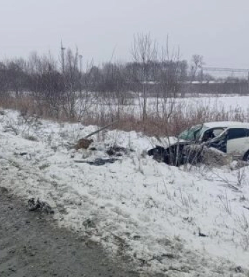 Звягельські поліцейські встановлюють обставини ДТП