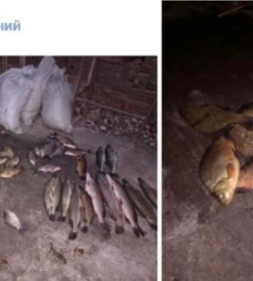Браконьєра з червонокнижною рибою викрили на Харківщині