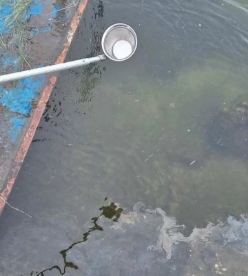 На Бурштинському водосховищі та у річці Гнила Липа на Івано-Франківщині вміст нафтопродуктів перевищив норму