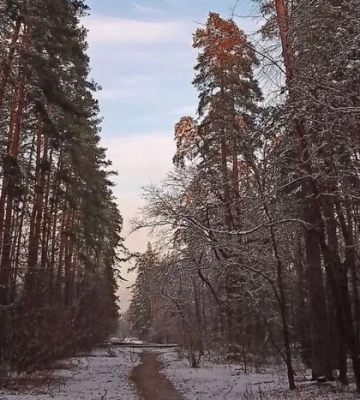 Моніторинг якості повітря у Києві: де найбезпечніше дихати