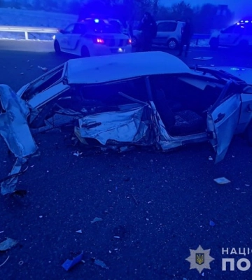 Вперше на зимівлю у нацпарку на Волині залишились гуси білолобі