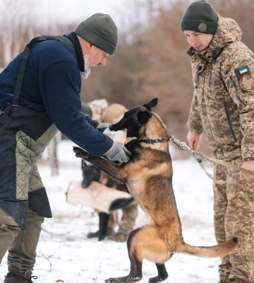 Дарсі, Брон і Луна: Рівненські кінологи тренують нових службових собак