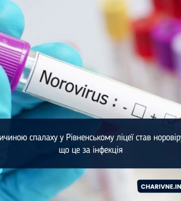 Дистанційне навчання через ймовірний спалах гострої кишкової інфекції запровадили у рівненському ліцеї