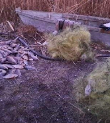 Черговий браконьєр наловив риби майже на пів мільйона
