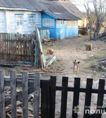 На Житомирщині чоловіка побили до смерті обухом сокири - підозрюваного заґратовано