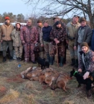 У Криничненській громаді на Одещині провели відстріл шакалів задля безпеки мешканців