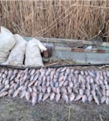На Миколаївщині поліціянти викрили браконьєра на незаконному вилові карасів