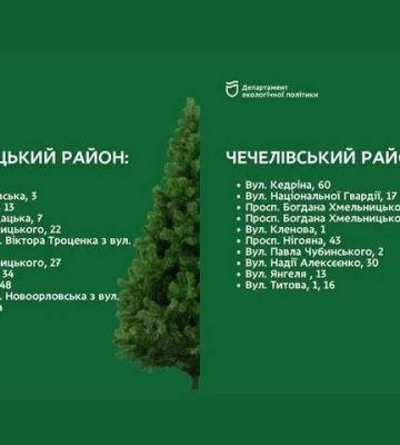 Після цієї дати ялинка шкодить: куди її можна здати у Дніпрі