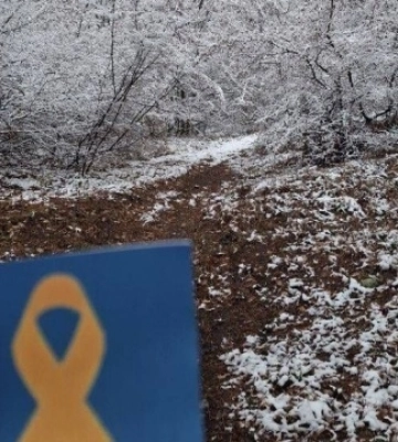 Активісти руху «Жовта стрічка» повідомили про проведення нової акції в містах Криму та Севастополі 