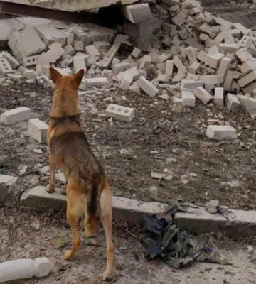 Який вигляд після обстрілів мають Новодмитрівка та Томина Балка на Херсонщині. ФОТО