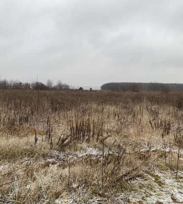 Волиньрада віддає в оренду 10 гектарів комунальної землі біля Луцька