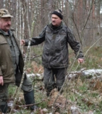На Волині природоохоронці виявили червонокнижного лося