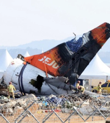 В обох двигунах літака Jeju Air, який розбився у Південній Кореї, виявили пташине пір&#039;я та кров — Reuters