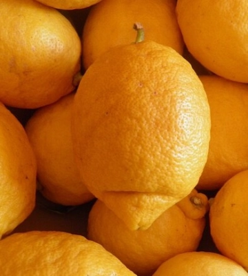 Де цими вихідними у Києві пройдуть продуктові ярмарки. Адреси