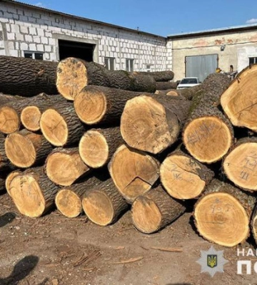 Чотирьох жителів Тернопільщини підозрюють у незаконній порубці дерев 