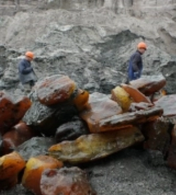 Дві київські компанії за 2,2 млн грн придбали дозвіл на видобування бурштину на Рівненщині