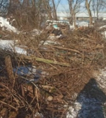 В одном из парков Львова люди самовольно обустроили огороды