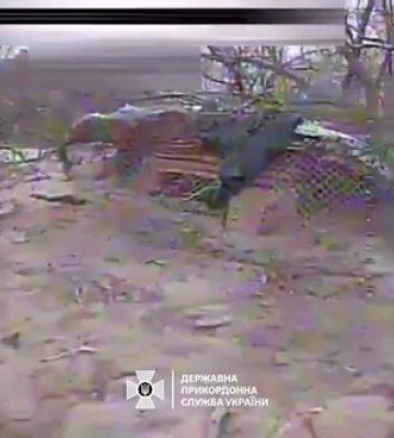 Пограничники поразили живую силу и огневые позиции российских захватчиков на Запорожском направлении.. ВИДЕО