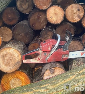 На Лебединщині поліцейські затримали нелегальних лісорубів