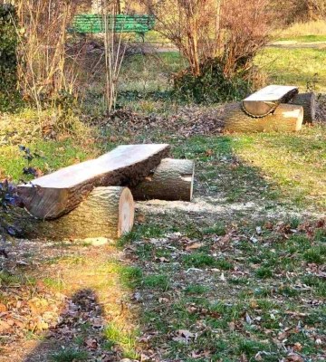 Екологічний дизайн: в Одеському ботанічному саду облаштували нові зони відпочинку