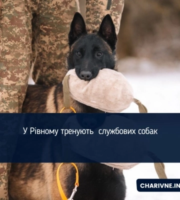 У Рівному тренують  службових собак