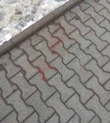 У Львові догхантери розкидають отруту