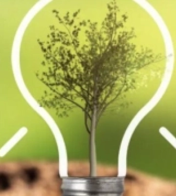 Успіхи учнів Корецького ліцею на обласній олімпіаді з екології