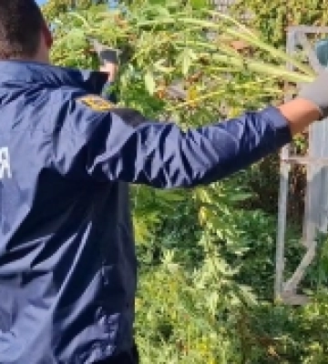 Поліцейські відправили на лаву підсудних жителя Білгорода-Дністровського за оборудки з наркотиками