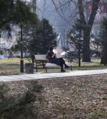 У Полтаві Петровський парк перейменували на Шевченківський