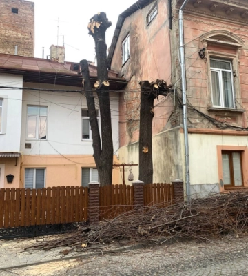 У Чернівцях на Сковороди і Толстого порізали дерева