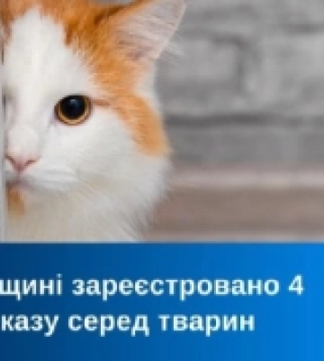 На Рівненщині з початку року зафіксували чотири випадки сказу серед тварин