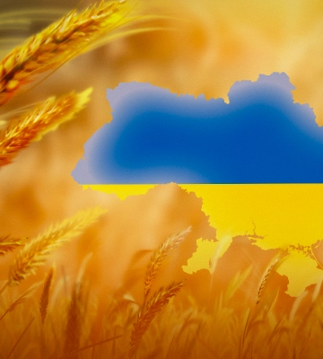 Сьогодні Україна відзначає День Соборності