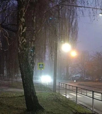 Погана видимість: з ночі Волинь накрив густий туман