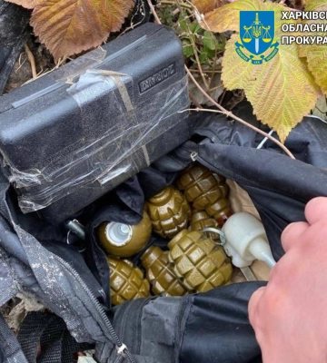 Гранаты, патроны и психотропы нашли дома у харьковчанина: что решил суд