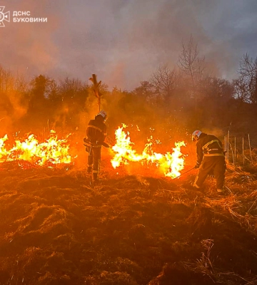 Пожежа на 2 га: у Чернівцях горіли чагарники та суха трава