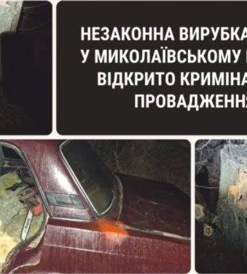 На Миколаївщині чоловік напиляв деревини на 40 тис грн