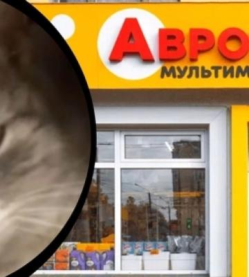 На Волині в «Аврорі», у відділі корму для тварин, поселився кіт (відео)