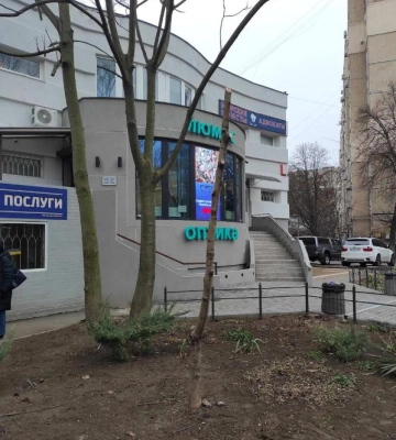 В Одесі невідомі пошкодили зелені насадження