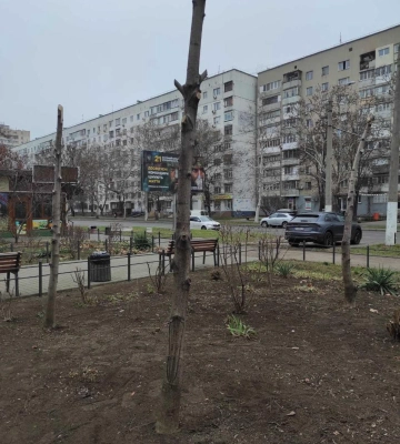 В Одесі невідомі пошкодили зелені насадження