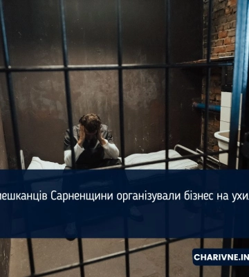 Двоє мешканців Сарненщини організували бізнес на ухилянтах