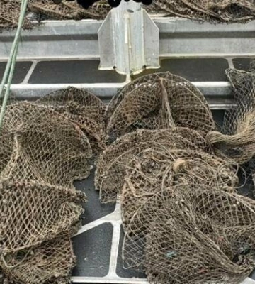 На Одещині рятували раків: деталі операції