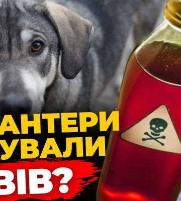 Львів у паніці: місто засипали отрутою? Мешканці знайшли рожеву речовину | ПравдаТУТ Львів