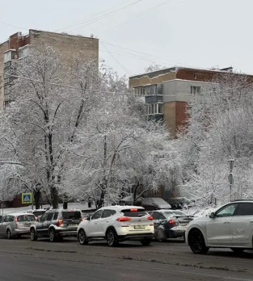 Невеликий дощ, подекуди з мокрим снігом: прогноз погоди на 25 січня