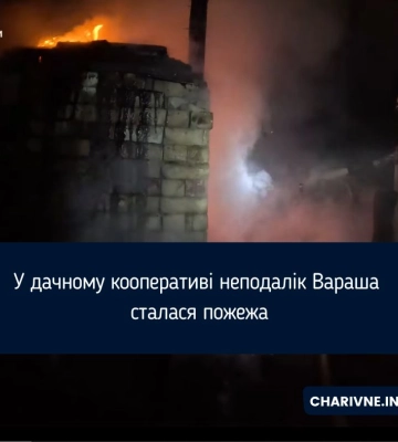 У дачному кооперативі неподалік Вараша сталася пожежа