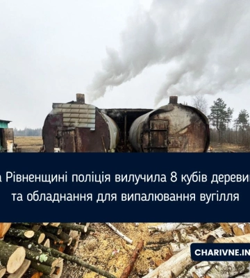 На Рівненщини викрили «точку», на якій випалювали вугілля