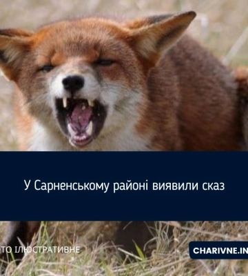 У Сарненському районі виявили сказ