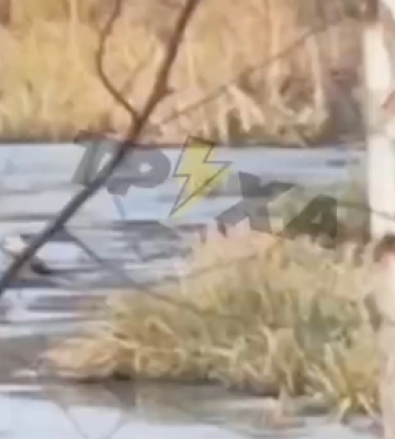 У луцькому парку під лід провалився підліток (відео)